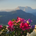 Steffinger: Südtirol 2025