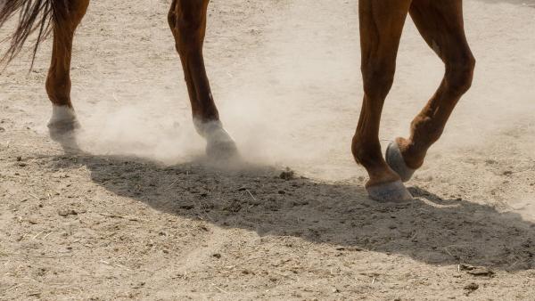 Bild 1 von 9: .