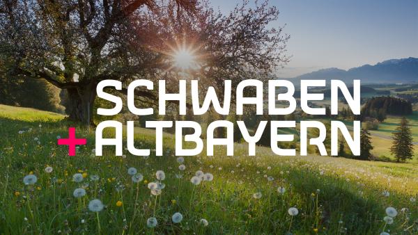 Bild 1 von 4: Key Visual/Cover Sendereihenbild mit Typo zu \
