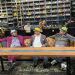 Pawn Stars: Spritztour durch Amerika