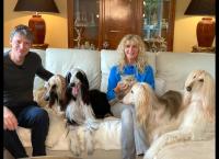 Die großen Hunde - Mit Martin Rütter