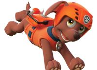 PAW Patrol - Helfer auf vier Pfoten