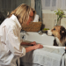 Darling Companion - Ein Hund fürs Leben