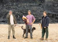 Taste of the Country - Sommer auf dem Land