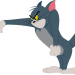 Die Tom und Jerry Show