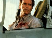 True Lies - Wahre Lügen