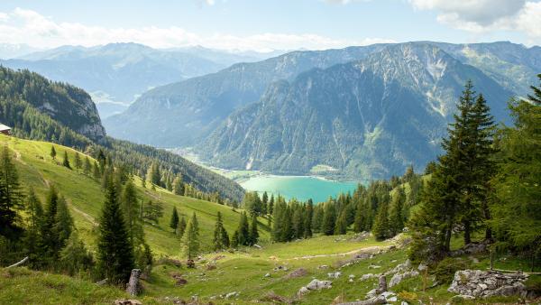 Bild 1 von 2: .