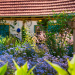 Geheimnisvoller Garten