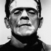 Das Verhängnis des Doktor Frankenstein