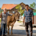 Daheim in den Bergen - Die Bienenkönigin