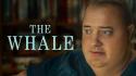 ARD - Das Erste 00:05: The Whale