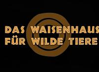 Das Waisenhaus für wilde Tiere