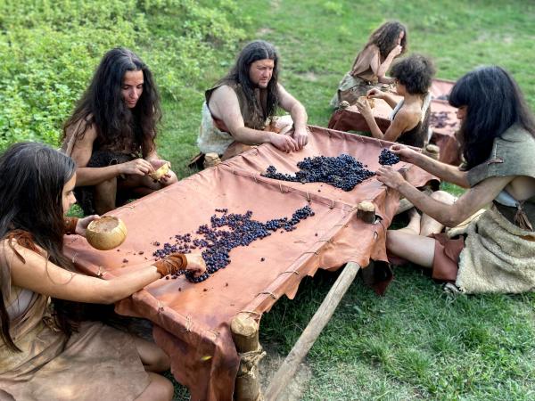 Bild 1 von 15: Im heutigen Georgien haben Archäologen eine 8.000 Jahre alte, steinzeitliche Siedlung ausgegraben. Die Funde lassen keinen Zweifel zu: Hier wurde in großem Stil Wein produziert.