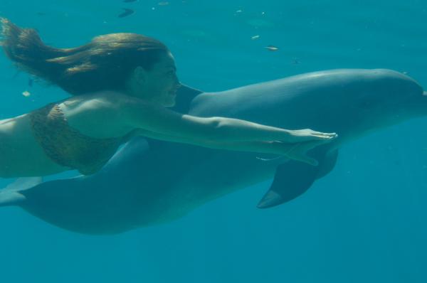 Bild 1 von 2: Cleo (Phoebe Tonkin) hat sich mit Ronny, dem neuen Delphin im Freizeitpark, angefreundet.