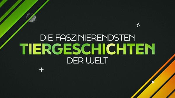 Bild 1 von 2: 