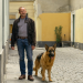 Bild 13