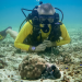 Im Einsatz für den Oktopus
