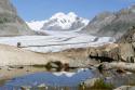 3sat 13:15: Unsere wilde Schweiz: Der Aletschgletscher