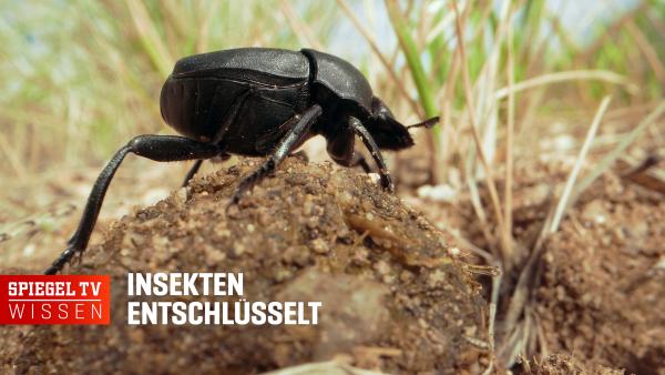 Bild 1 von 2: .