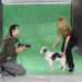 Bild 11