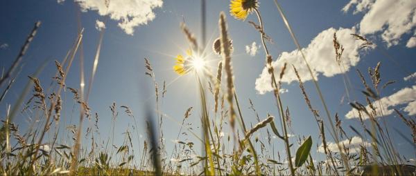 Bild 1 von 24: Im Bild: Die Great Plains erstrecken sich von Kanada bis nach Texas und zählen zu den eindrucksvollsten Naturlandschaften Nordamerikas. Das UNIVERSUM SPEZIAL zeigt die weiten Ebenen, ihre Tierwelt und die Bemühungen, dieses einzigartige Natur- und Kulturerbe zu bewahren.