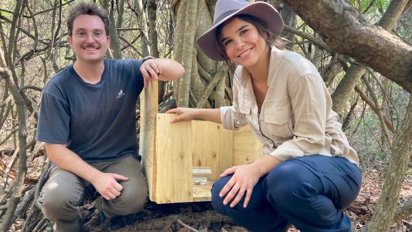 Bild 1 von 5: Anna und Biologe Jack stellen eine Versuchskiste in den Wald. Der Primatenforscher möchte das Futterverhalten von Galagos untersuchen. (John \