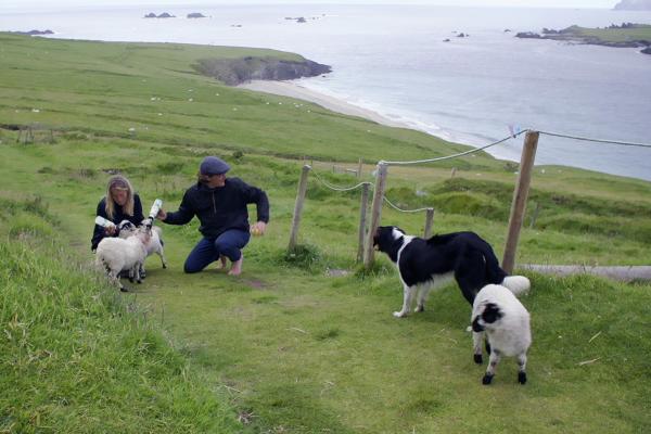 Bild 1 von 5: Claire de Haas und Brock Montgomery, Aussteiger und alleinige Bewohner(Herbergseltern) auf der Insel Great Blasket