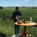 Bild 13