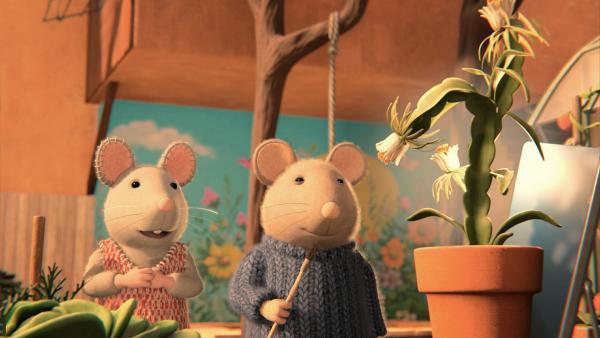 Bild 1 von 2: Julia (links) und Sam (rechts) sind begeistert. Aus dem Samen, den sie eingepflanzt hatten, wurde eine große Pflanze mit Blüten. Nun hoffen sie darauf, dass die Pflanze auch eine Frucht hervorbringt.
© ZDF/Cielo Films/Caribara Production/SuperswissRed/M.A.R.K.13/ZDF Studios GmbH - Honorarfreie Verwendung gemäß AGB im redaktionellen Zusammenhang mit genannter Sendung bei Nennung \