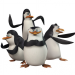 Die Pinguine aus Madagascar