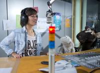 Sesamstraße präsentiert: Eine Möhre für Zwei