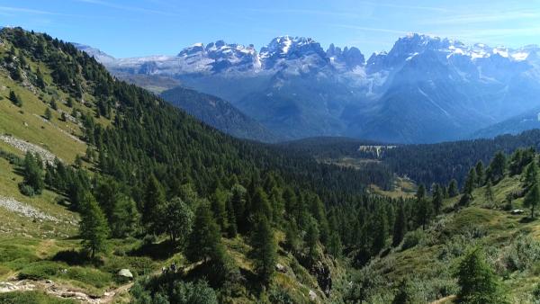 Bild 1 von 1: .