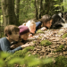 Fünf Freunde und das Tal der Dinosaurier