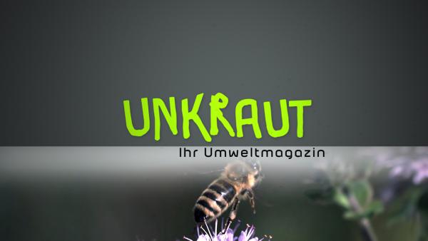 Bild 1 von 2: Unkraut