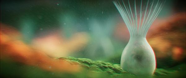 Bild 1 von 5: Vor rund 800 Millionen Jahren verändert sich der Lebensraum der Eukaryoten, der Vorfahren aller heutiger Pflanzen und Tiere. Ihre Anzahl und Vielfalt steigen.