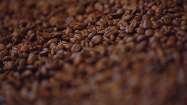 Bild 1 von 10: Wie gut sind die Kaffeebohnen von Starbucks?