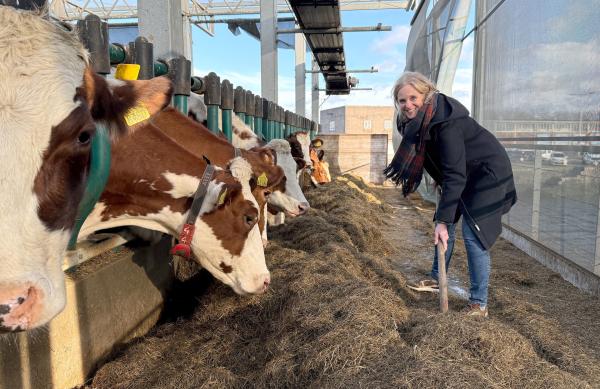 Bild 1 von 4: Die Floating Farm im Hafen von Rotterdam - der erste und bislang einzige schwimmende Bauernhof der Welt. Die Floating Farm von Minke van Wingerden ist ein zirkulärer Bauernhof, das bedeutet Stoffe werden wiederverwertet. Auf der Milch ihrer Kühe werden auf der Farm Joghurt, Butter und Käse produziert.