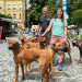 Anna und die Haustiere