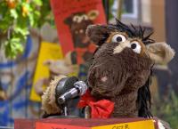 Sesamstraße präsentiert: Eine Möhre für Zwei