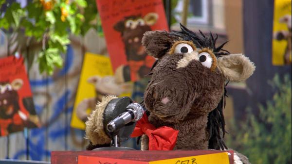 Bild 1 von 8: Im Wahlkampf um die neue Farbe der Möhre tritt Pferd für Rot an.