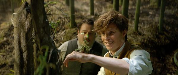 Bild 1 von 8: DAN FOGLER as Jacob, EDDIE REDMAYNE as Newt and a beast called a Bowtruckle in Warner Bros. Pictures' fantasy adventure \