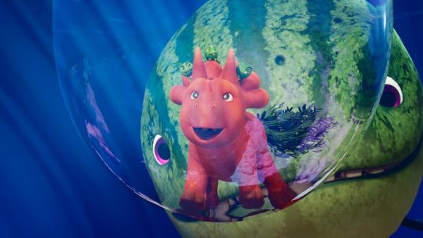 Bild 1 von 4: Das Abenteuer unter Wasser mit dem Melonensuchus findet Ginger einfach nur großartig.