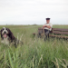 Wildes Deutschland - Nordfriesland