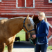 Heartland - Paradies für Pferde