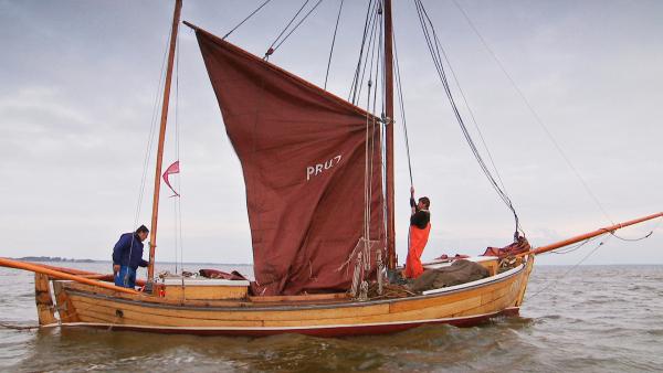 Bild 1 von 4: Historischer Zeesboot-Fischer auf dem Saaler Bodden der Halbinsel Fischland-Darß-Zingst.