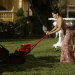 Desperate Housewives