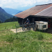 SRF bi de Lüt - Z'Alp