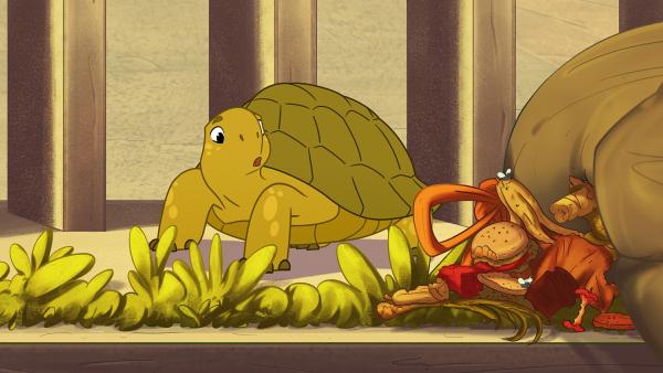 Bild 1 von 1: Essen, das auf der Straße liegt? Noch nie war die Futtersuche für Schildkröte Törtel und seine Wildtier-Freunde von Müggeldorf so einfach!©ZDF/ Caligari Film/  Honorarfreie Verwendung gemäß AGB im redaktionellen Zusammenhang mit genannter Sendung bei Nennung \