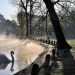Paris - Stadt der Tiere