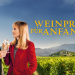 Weinprobe für Anfänger